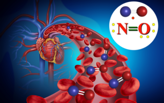 Nitric Oxide Blow Flow